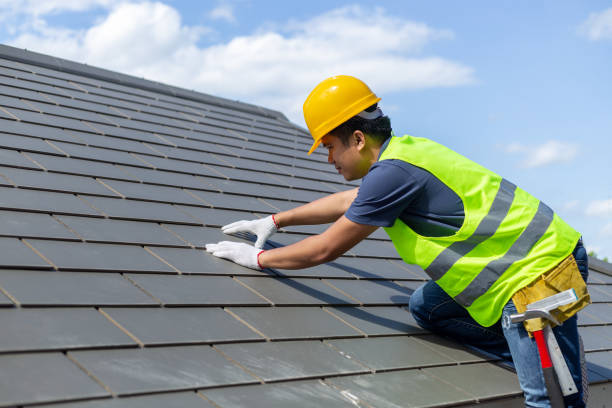 Best Roof Repair Specialists  in Braddock, PA