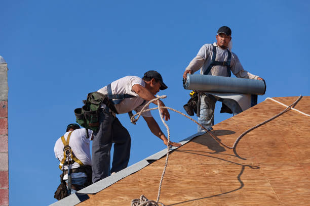 Best Roof Replacement Cost  in Braddock, PA