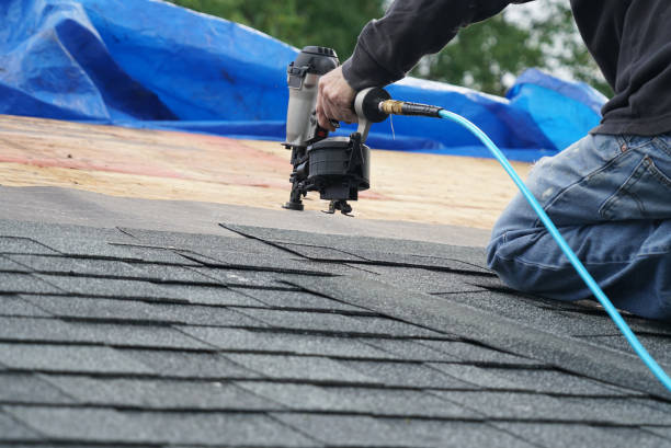Best Roof Leak Repair  in Braddock, PA