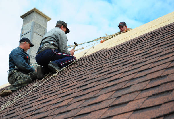 Best Emergency Roof Repair  in Braddock, PA